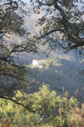 Lagar De Trevenez Montes De Malaga
